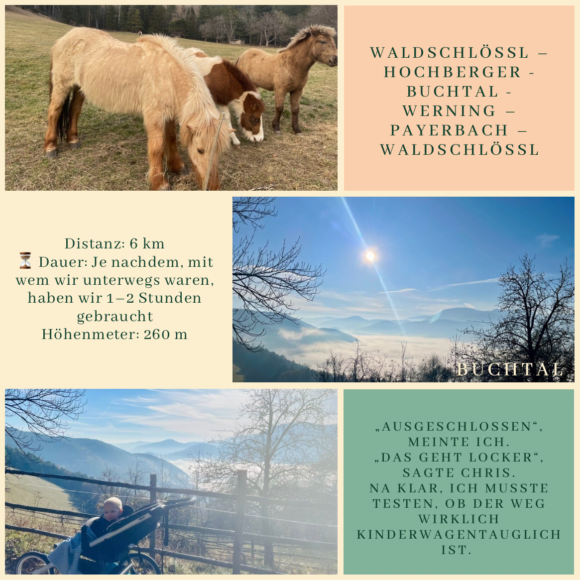Kalter Schweiß im steilen Wald