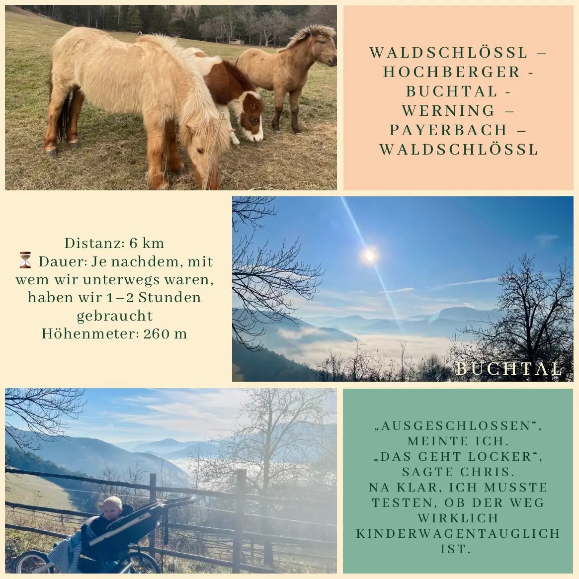 Kalter Schweiß im steilen Wald