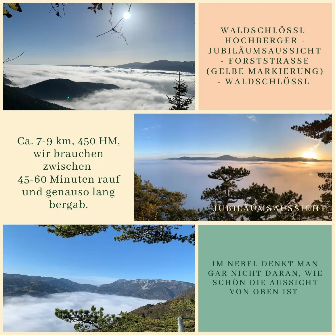 Ein Sonnenuntergang, der im Nebel verschwand – ein stiller Sonnenaufgang über den Wolken 🌫🌅