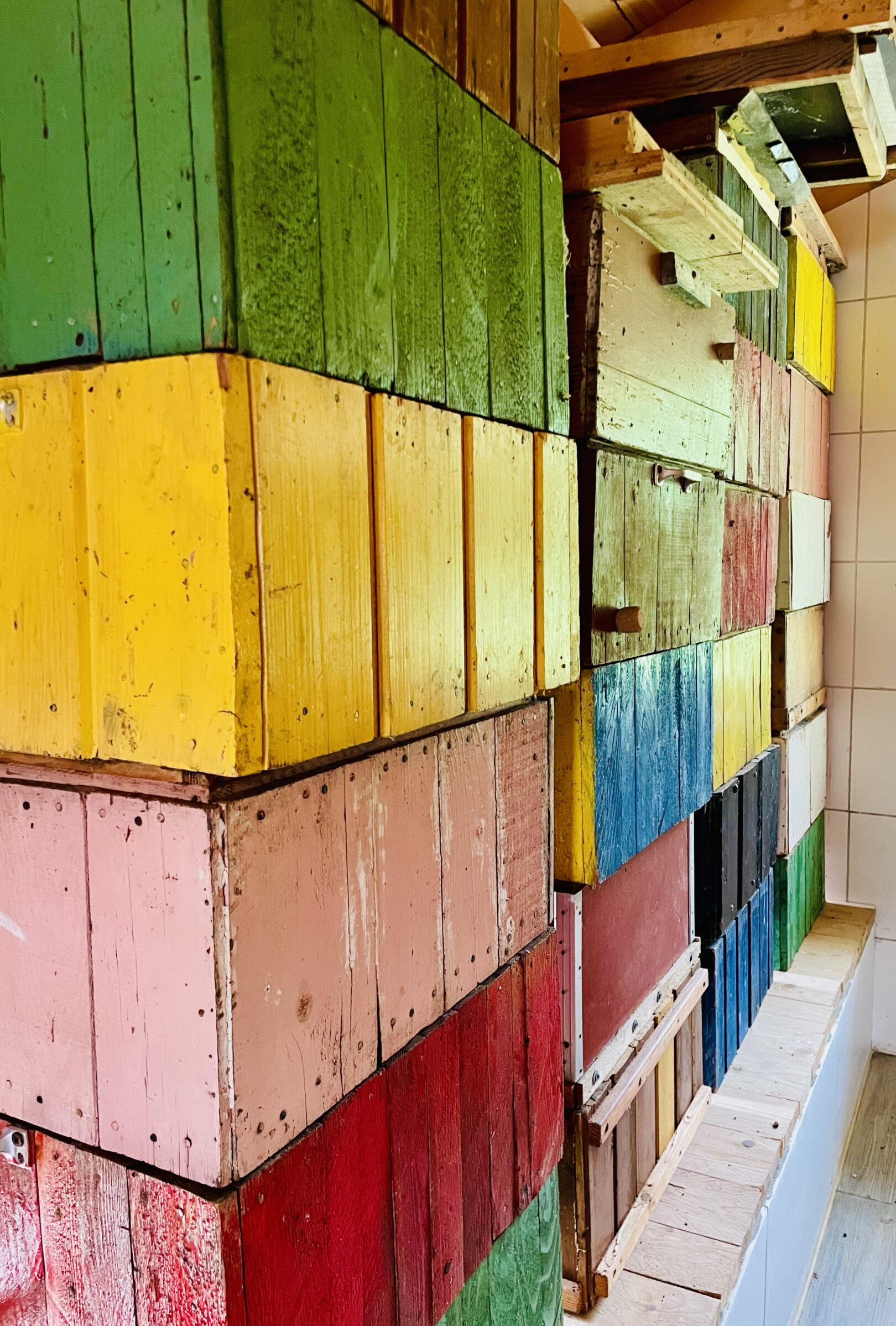 Üdvözlünk Schneedörfl-ben, zümmögő segítők – élet költözött a méhszállóba 🐝✨