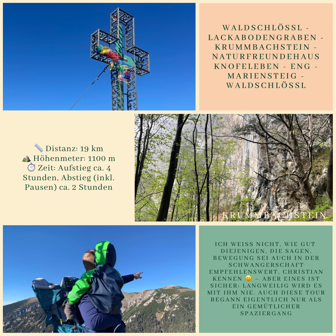 Novemberwanderung auf den Krummbachstein – oder: Süße Last 🥾🤰🍂