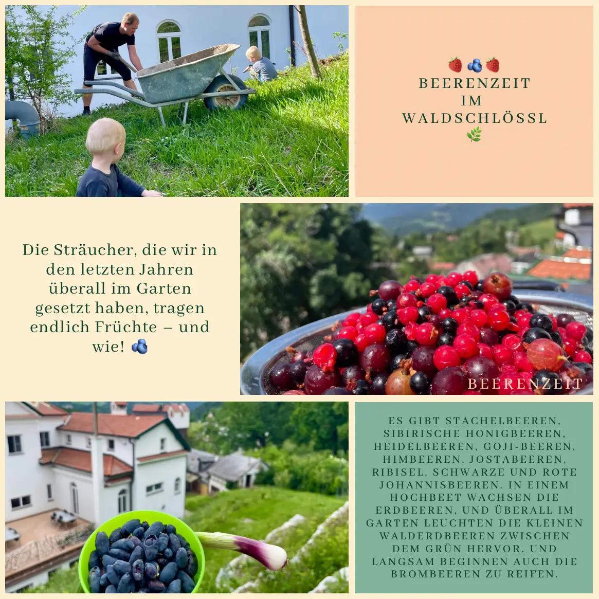 🍓 Itt a bogyószezon a Waldschlösslben 🌿