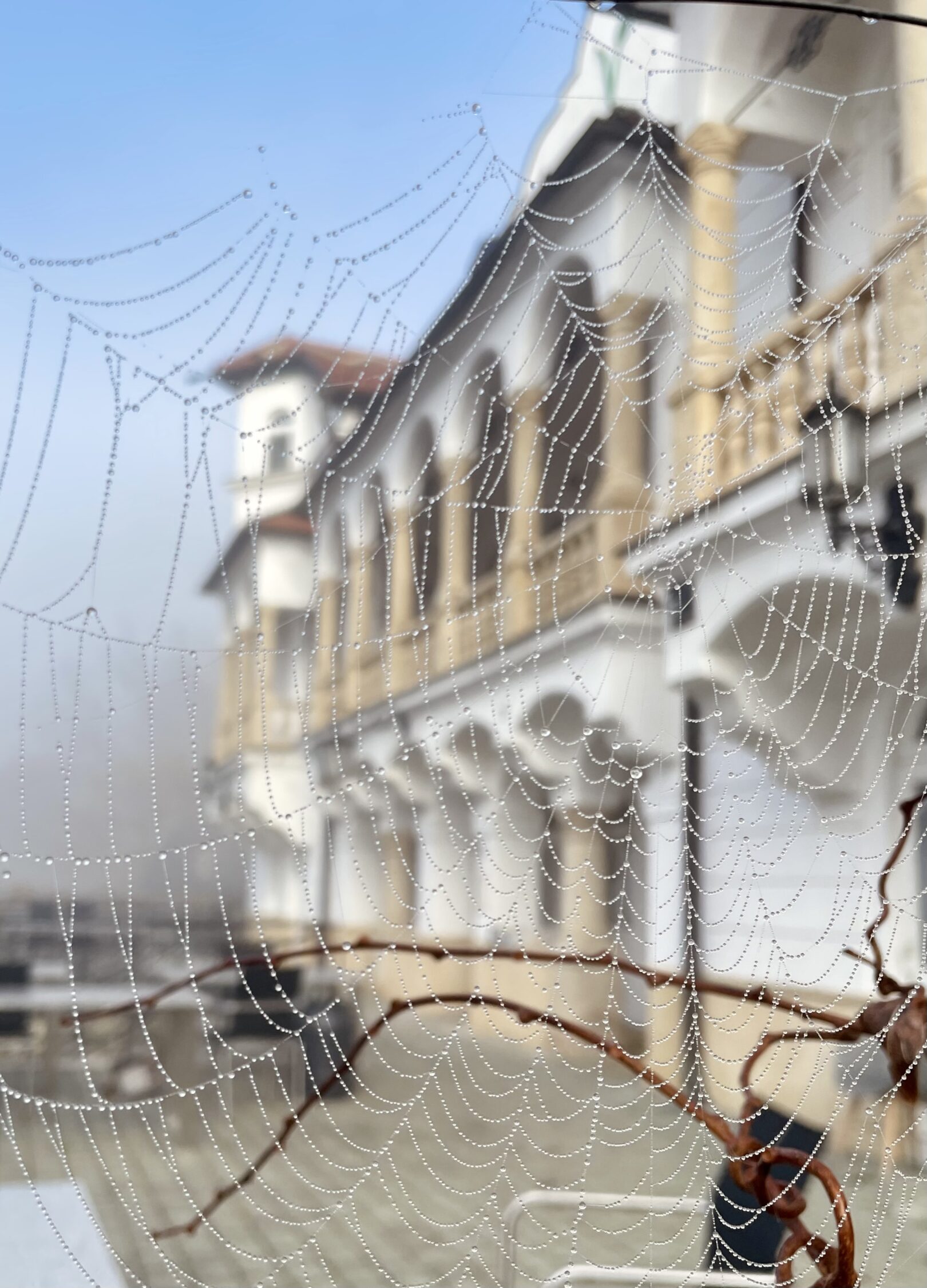 Häufig gestellte Fragen 